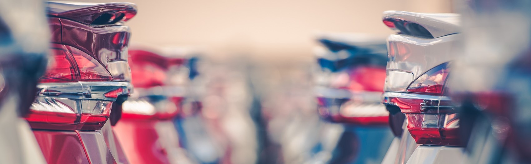 Secure Your Rental Car 